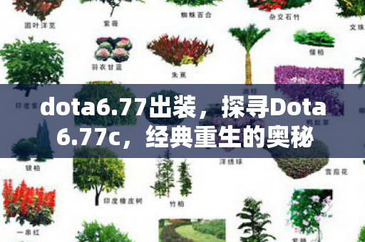 dota6.77出装,探寻Dota 6.77c,经典重生的奥秘 dota6.77出装,探寻Dota 6.77c,经典重生的奥秘