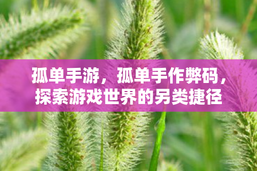 孤单手游,孤单手作弊码,探索游戏世界的另类捷径 孤单手游,孤单手作弊码,探索游戏世界的另类捷径