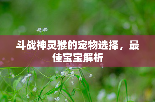 斗战神灵猴的宠物选择,最佳宝宝解析 斗战神灵猴的宠物选择,最佳宝宝解析