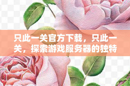 只此一关官方下载，只此一关，探索游戏服务器的独特魅力