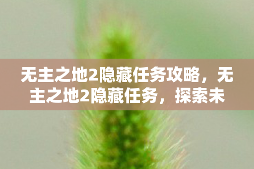 无主之地2隐藏任务攻略图片