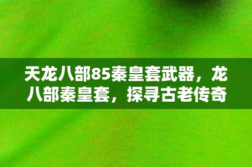 天龙八部85秦皇套武器图片