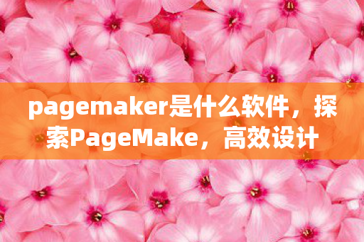 pagemaker是什么软件图片