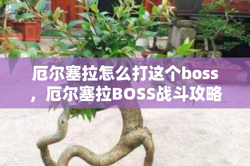 厄尔塞拉怎么打这个boss图片