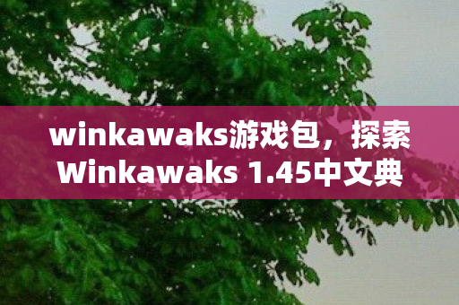 探索Winkawaks 1图片