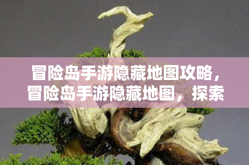 冒险岛手游隐藏地图攻略图片
