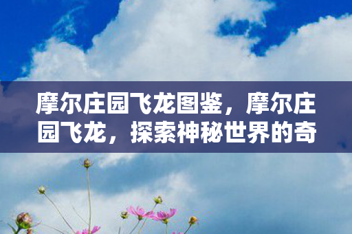 摩尔庄园飞龙图鉴,摩尔庄园飞龙,探索神秘世界的奇妙之旅 摩尔庄园飞龙图鉴,摩尔庄园飞龙,探索神秘世界的奇妙之旅