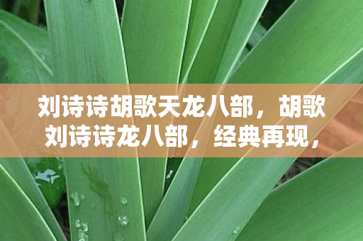 刘诗诗胡歌天龙八部图片