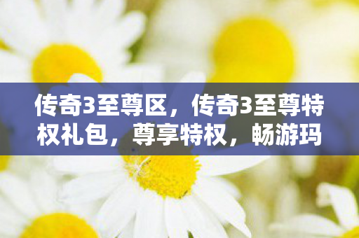 传奇3至尊区,传奇3至尊特权礼包,尊享特权,畅游玛法大陆 传奇3至尊区,传奇3至尊特权礼包,尊享特权,畅游玛法大陆