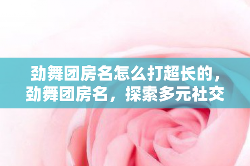 劲舞团房名怎么打超长的图片