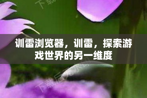 训雷浏览器,训雷,探索游戏世界的另一维度 训雷浏览器,训雷,探索游戏世界的另一维度