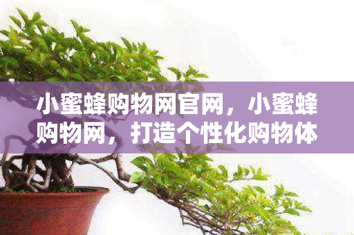 打造个性化购物体验图片