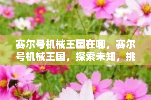 赛尔号机械王国在哪图片