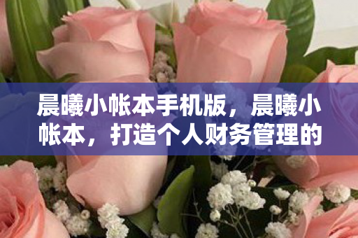 晨曦小帐本手机版,晨曦小帐本,打造个人财务管理的智慧之选 晨曦小帐本手机版,晨曦小帐本,打造个人财务管理的智慧之选