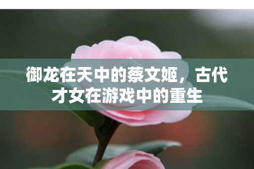御龙在天中的蔡文姬,古代才女在游戏中的重生 御龙在天中的蔡文姬,古代才女在游戏中的重生