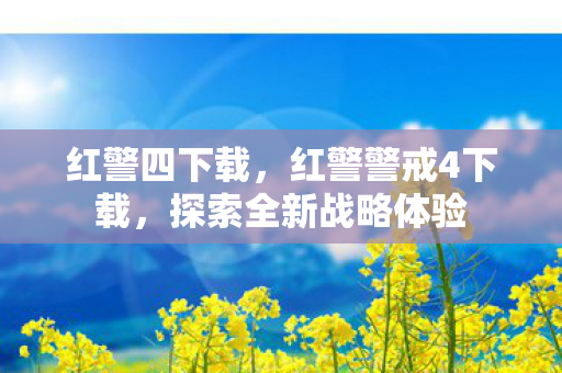 探索全新战略体验图片