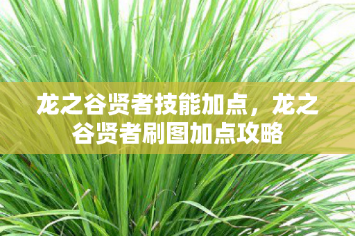 龙之谷贤者技能加点,龙之谷贤者刷图加点攻略 龙之谷贤者技能加点,龙之谷贤者刷图加点攻略