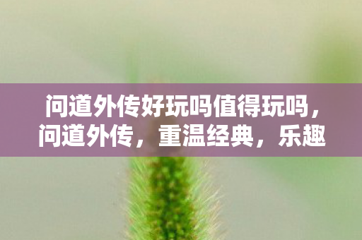 问道外传好玩吗值得玩吗,问道外传,重温经典,乐趣无穷 问道外传好玩吗值得玩吗,问道外传,重温经典,乐趣无穷