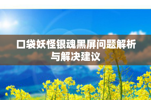 口袋妖怪银魂黑屏问题解析与解决建议