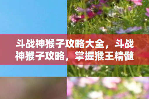 斗战神猴子攻略大全图片