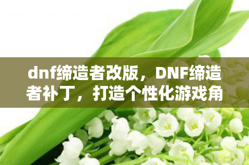 dnf缔造者改版，DNF缔造者补丁，打造个性化游戏角色