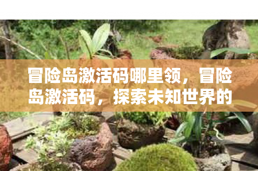 冒险岛激活码哪里领,冒险岛激活码,探索未知世界的钥匙 冒险岛激活码哪里领,冒险岛激活码,探索未知世界的钥匙