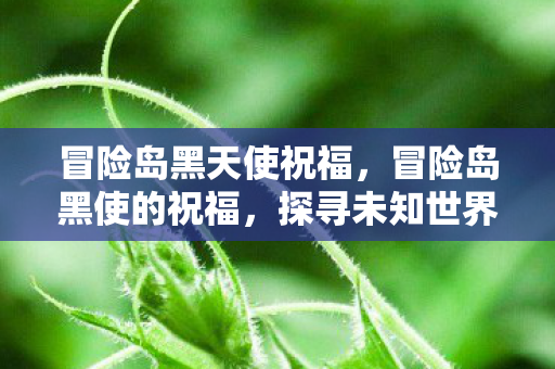 冒险岛黑天使祝福，冒险岛黑使的祝福，探寻未知世界的神秘力量