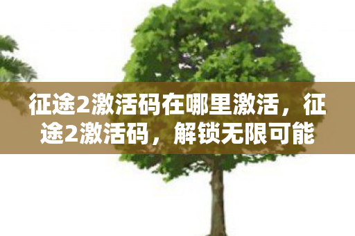 征途2激活码在哪里激活，征途2激活码，解锁无限可能的神秘钥匙
