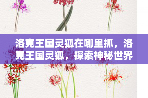探索神秘世界的奇妙之旅图片