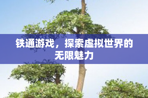 铁通游戏，探索虚拟世界的无限魅力
