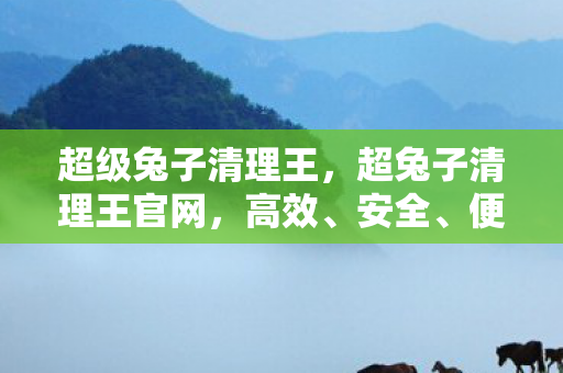 便捷的电脑清理工具图片