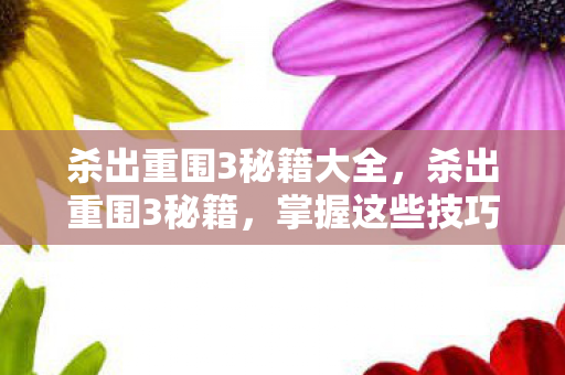 杀出重围3秘籍大全图片