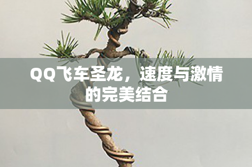 QQ飞车圣龙,速度与激情的完美结合 QQ飞车圣龙,速度与激情的完美结合