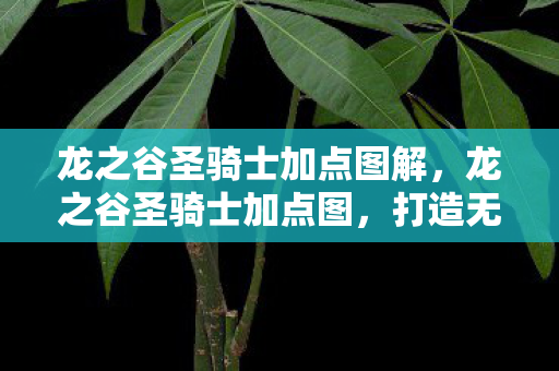 龙之谷圣骑士加点图解，龙之谷圣骑士加点图，打造无敌圣骑士的攻略
