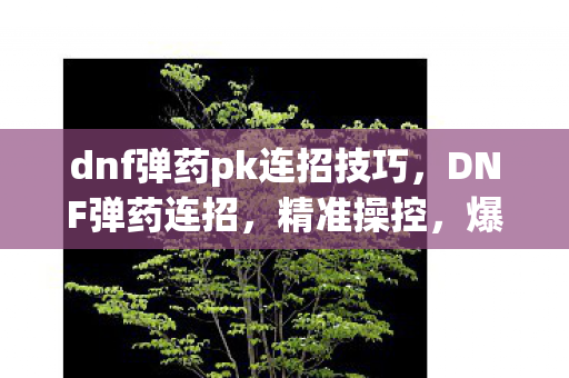 dnf弹药pk连招技巧图片