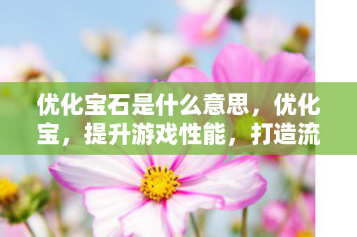 优化宝石是什么意思图片