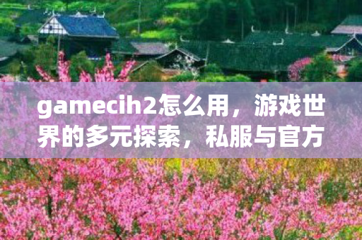 gamecih2怎么用，游戏世界的多元探索，私服与官方服务器的独特魅力