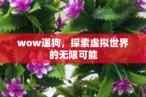 wow遛狗，探索虚拟世界的无限可能
