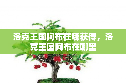洛克王国阿布在哪获得,洛克王国阿布在哪里 洛克王国阿布在哪获得,洛克王国阿布在哪里