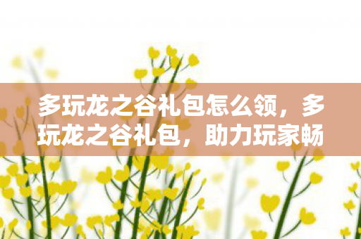 助力玩家畅游虚拟世界的神秘钥匙图片