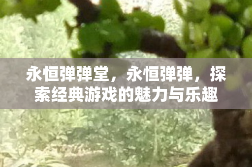 永恒弹弹堂,永恒弹弹,探索经典游戏的魅力与乐趣 永恒弹弹堂,永恒弹弹,探索经典游戏的魅力与乐趣