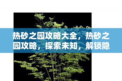 热砂之园攻略大全图片
