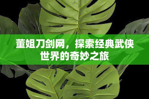 探索经典武侠世界的奇妙之旅图片