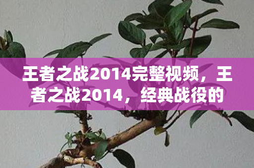 王者之战2014完整视频图片