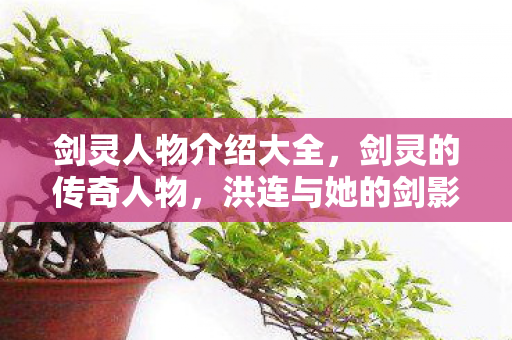 洪连与她的剑影之路图片