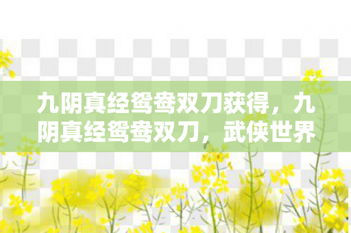 九阴真经鸳鸯双刀获得图片