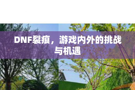 游戏内外的挑战与机遇图片
