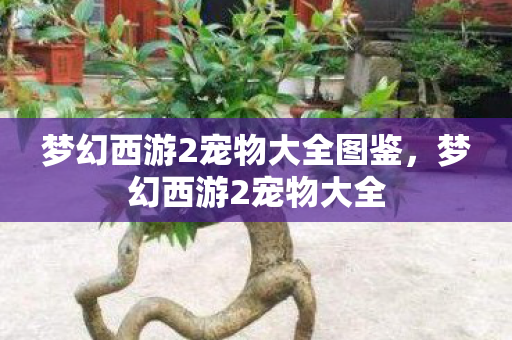 梦幻西游2宠物大全图鉴图片