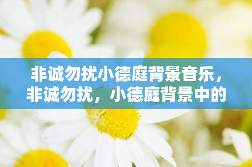 非诚勿扰小德庭背景音乐图片