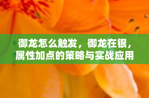属性加点的策略与实战应用图片